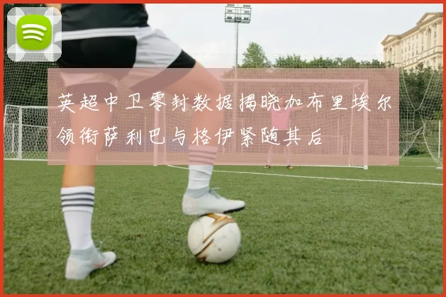 英超中卫零封数据揭晓加布里埃尔领衔萨利巴与格伊紧随其后