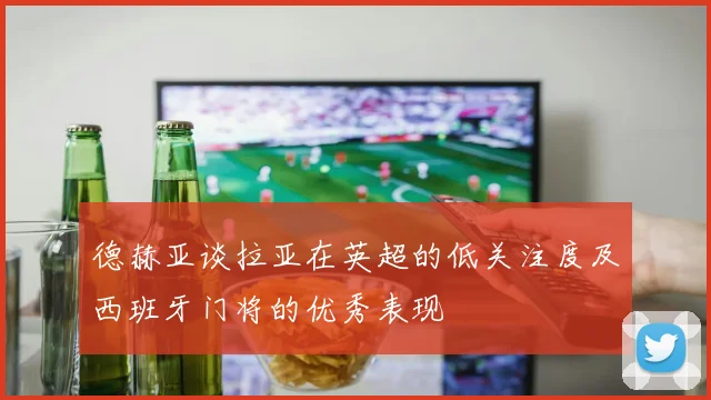 德赫亚谈拉亚在英超的低关注度及西班牙门将的优秀表现